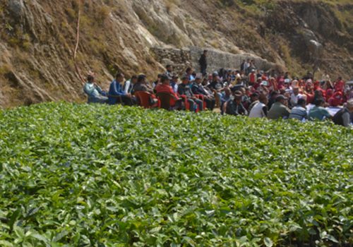 काभ्रेका किसानलाई कफी उत्पादन प्रविधि तालिम