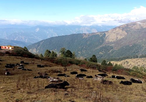 पर्यटकका पर्खाइमा बयली