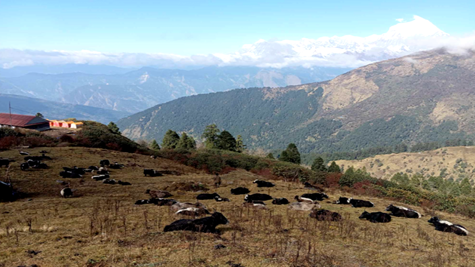पर्यटकका पर्खाइमा बयली