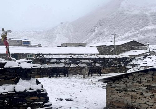 उत्तरी गोरखाको साम्दो क्षेत्रमा भारी हिमपात