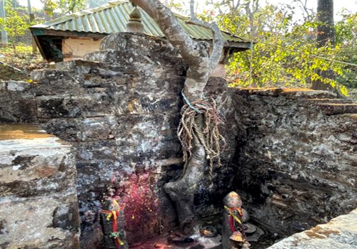 जहाँ देवीलाई चढाइन्छ दाम्लो