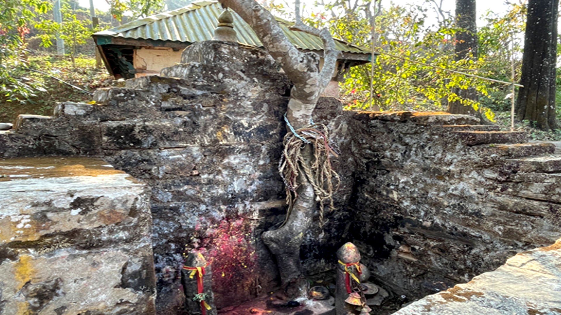 जहाँ देवीलाई चढाइन्छ दाम्लो