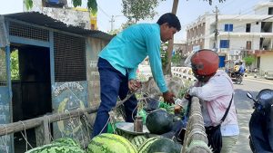 खरबुजा बिक्रीबाट दैनिक १२ हजारसम्म आम्दानी गर्दै किसान
