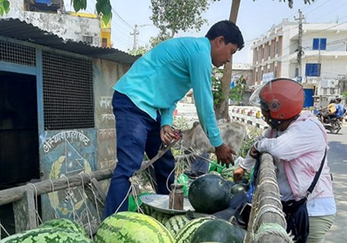 खरबुजा बिक्रीबाट दैनिक १२ हजारसम्म आम्दानी गर्दै किसान