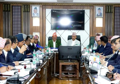 कर्मचारीलाई तीनदिनभित्र काम सम्पन्न गर्न ऊर्जामन्त्रीको निर्देशन