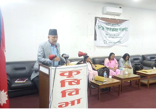 ‘रैथाने बालीलाई नै प्रयोगमा ल्याउनुपर्ने आवश्यकता छ’