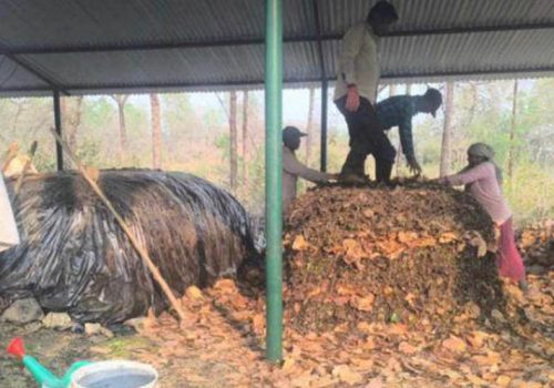 प्राङ्गारिक मल उत्पादनसँगै डढेलो नियन्त्रण