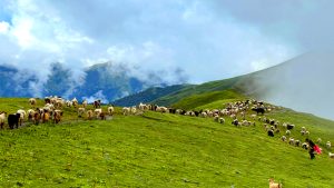 पदयात्रका लागि उत्कृष्ट गन्तव्य बन्दै ‘बुकीपाटन’