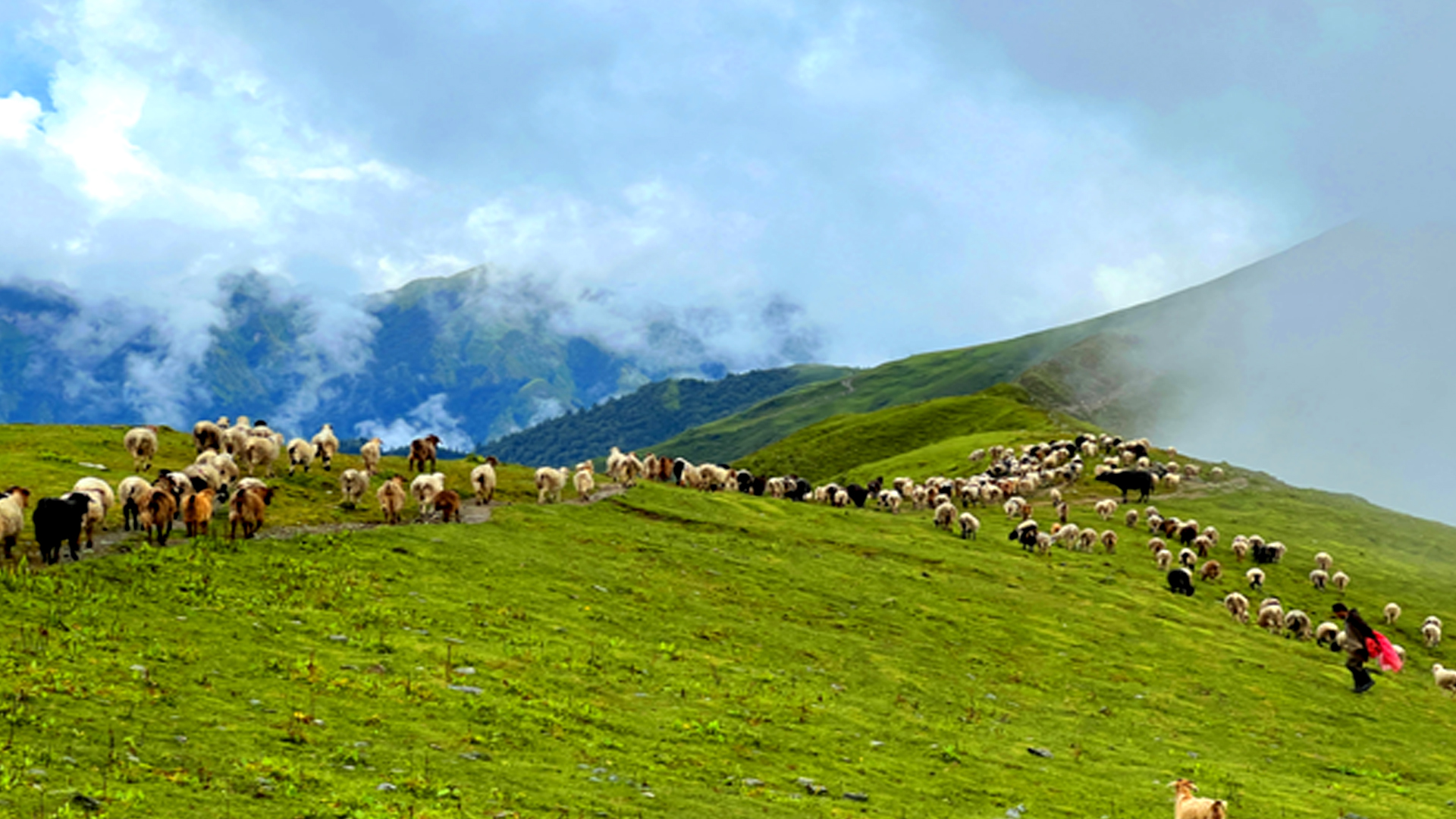 पदयात्रका लागि उत्कृष्ट गन्तव्य बन्दै ‘बुकीपाटन’