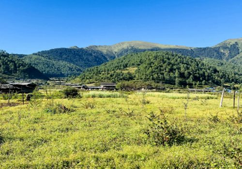 बागलुङ र पर्वतमा चक्लाबन्दी गरेर व्यावसायिक फलफूलखेती