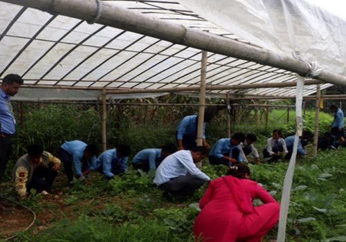 विद्यार्थीलाई अभ्यासमूलक व्यावहारिक शिक्षा दिँदै ‘यशोधरा’
