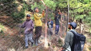 अन्नबाली जोगाउन मध्यरातसम्म गस्ती