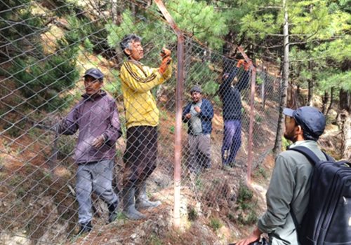 अन्नबाली जोगाउन मध्यरातसम्म गस्ती
