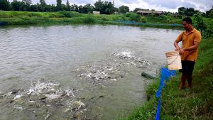 अवैध रूपमा भित्रिने माछाका कारण किसान समस्यामा