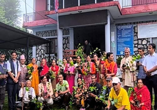 मरिचखेती प्रवर्द्धन गर्दै पोखरा महानगर