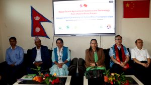 चिनियाँ सहयोगमा वर्णशङ्कर धान रोपाइँ कार्यक्रम