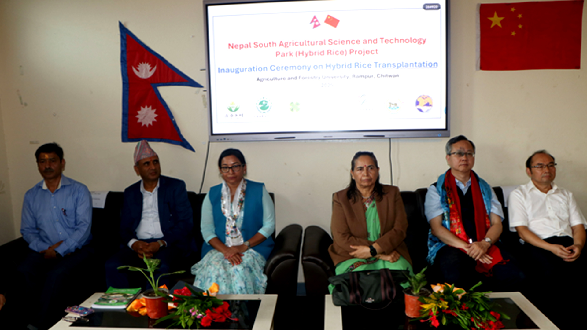 चिनियाँ सहयोगमा वर्णशङ्कर धान रोपाइँ कार्यक्रम