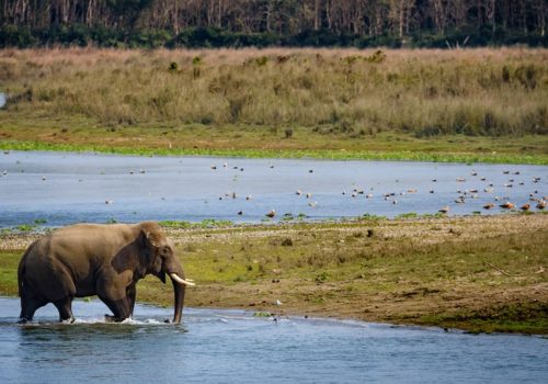 बागमतीलाई प्रमुख पर्यटकीय गन्तव्य बनाउन प्रदेश सरकारको १५ वर्षे रणनीतिक योजना कार्यान्वयनमा