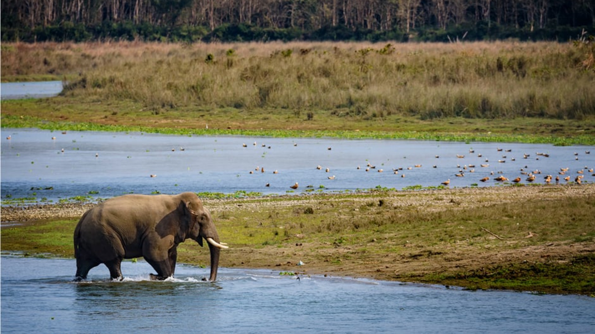 बागमतीलाई प्रमुख पर्यटकीय गन्तव्य बनाउन प्रदेश सरकारको १५ वर्षे रणनीतिक योजना कार्यान्वयनमा