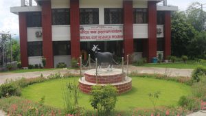 लक्ष्यभन्दा बढी बाख्रा उत्पादन गर्दै राष्ट्रिय बाख्रा अनुसन्धान केन्द्र