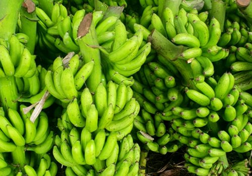 नेपाली केराले नै दसैँ, तिहार र छठ धान्ने, आयात नगर्न अनुरोध