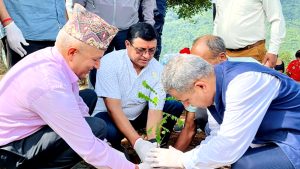 ‘बिरुवा रोप्नुभन्दा हुर्काउनु महत्वपूर्ण’