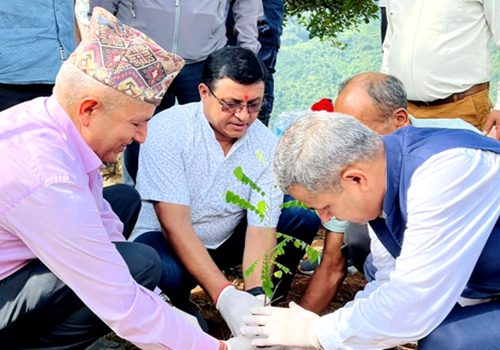 ‘बिरुवा रोप्नुभन्दा हुर्काउनु महत्वपूर्ण’