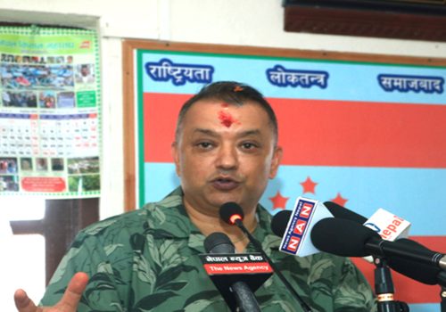 व्यक्तिको गल्ती पार्टीले जिम्मा लिँदैनः महामन्त्री थापा