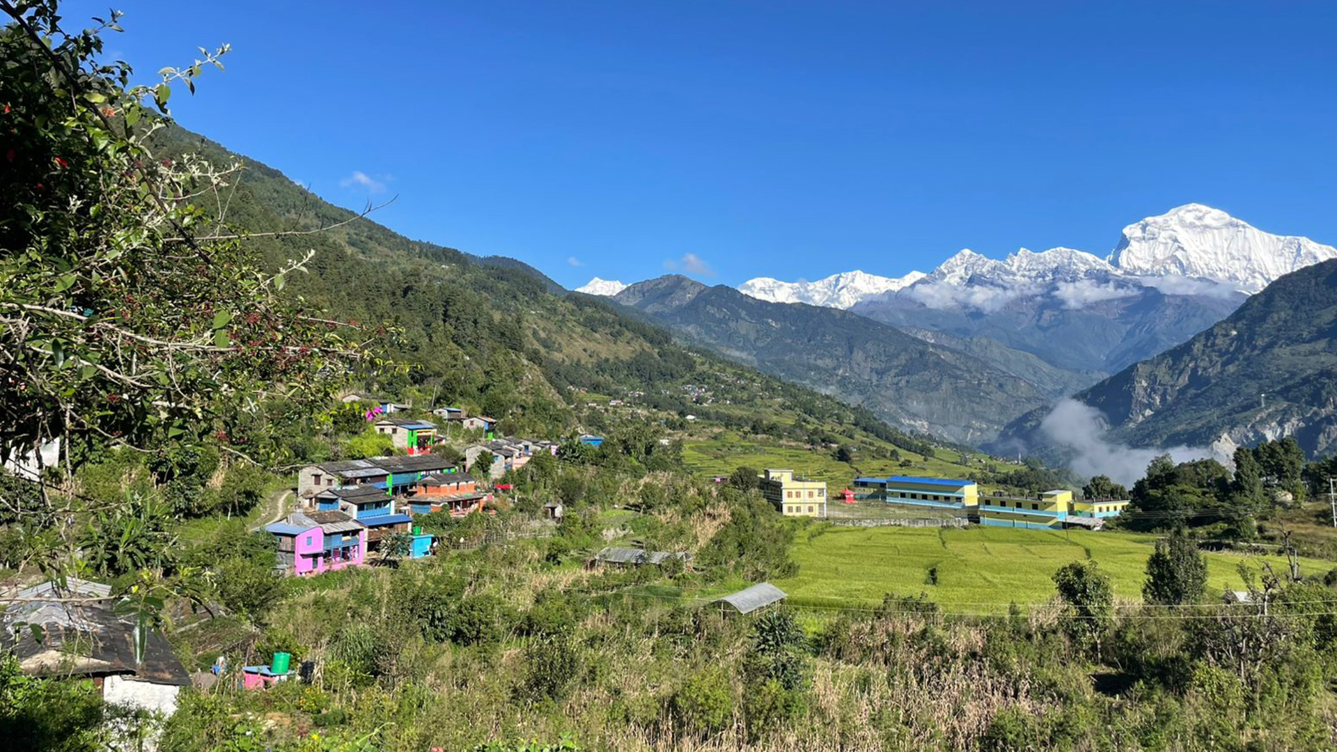 तोरीपानीका पाँचघरमा  ‘होमस्टे’ सञ्चालन