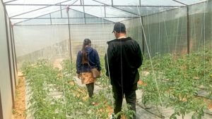 ‘हाइटेक टनेल’ बनाउन दुई करोडभन्दा बढी अनुदान