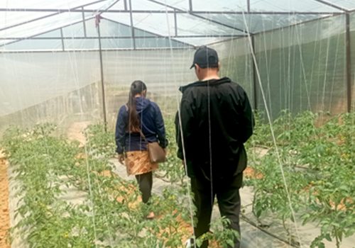 ‘हाइटेक टनेल’ बनाउन दुई करोडभन्दा बढी अनुदान