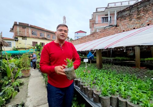 नर्सरीबाट वार्षिक ४० लाख आम्दानी