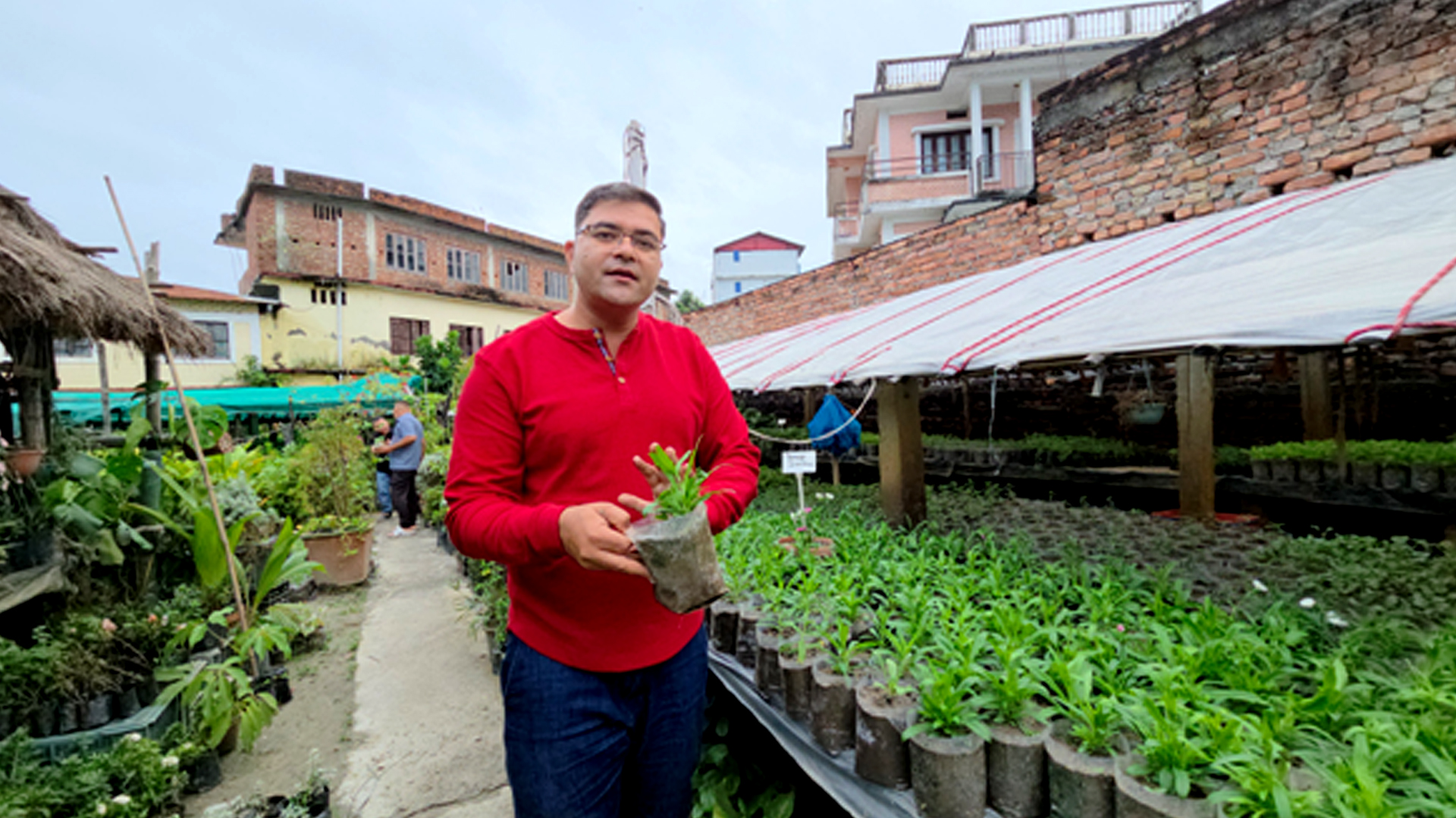 नर्सरीबाट वार्षिक ४० लाख आम्दानी