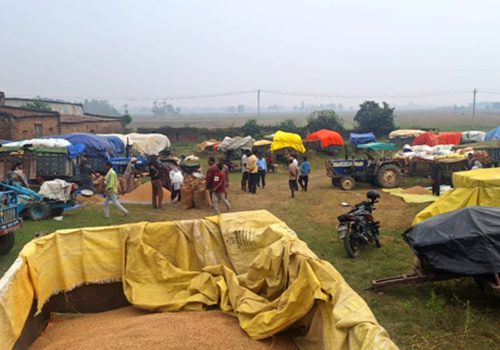 धान बेच्न किसान रातभर लाइनमा, सरकारी खरिद केन्द्रमा भीड