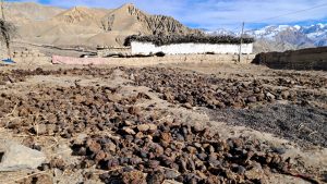 माथिल्लो मुस्ताङमा जाडो थेग्न गुइँठाको भर