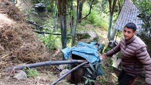 गहुँतबाट जैविक विषादी उत्पादन गरेर खेतीमा प्रयोग