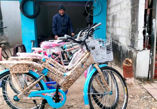साइकल चढनेहरू दिनप्रतिदिन घट्दै