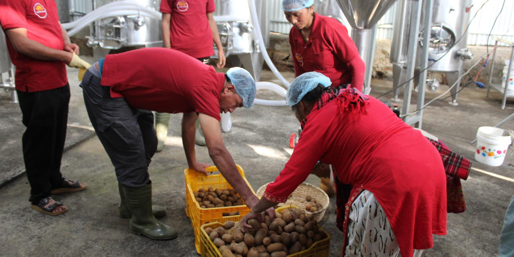 गाउँमै उद्योग थापना भएपछि किबी उत्पादन गर्ने किसानलाई राहत