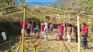 भोजपुर तिम्माका महिलालाई तरकारी खेती गर्न टनेल वितरण