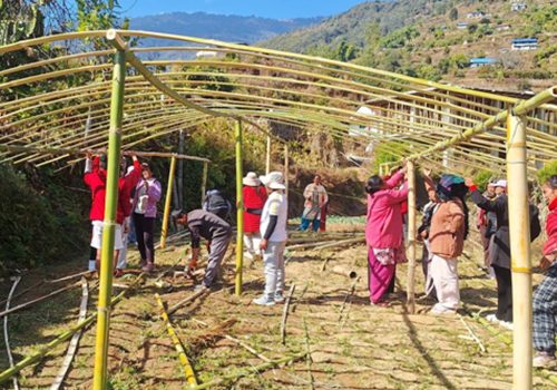 भोजपुर तिम्माका महिलालाई तरकारी खेती गर्न टनेल वितरण