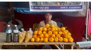 जङ्गल फाँडेर सुन्तलाखेती विस्तार