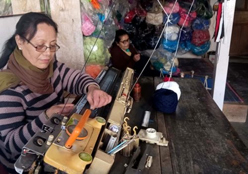 घरेलु उद्यममा व्यस्त भोजपुरका दुई दिदीबहिनी