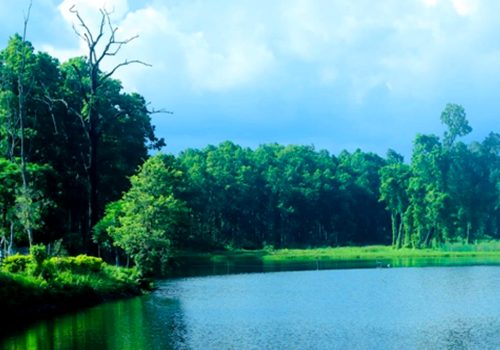 पर्यटकको रोजाइमा वेतना सिमसार