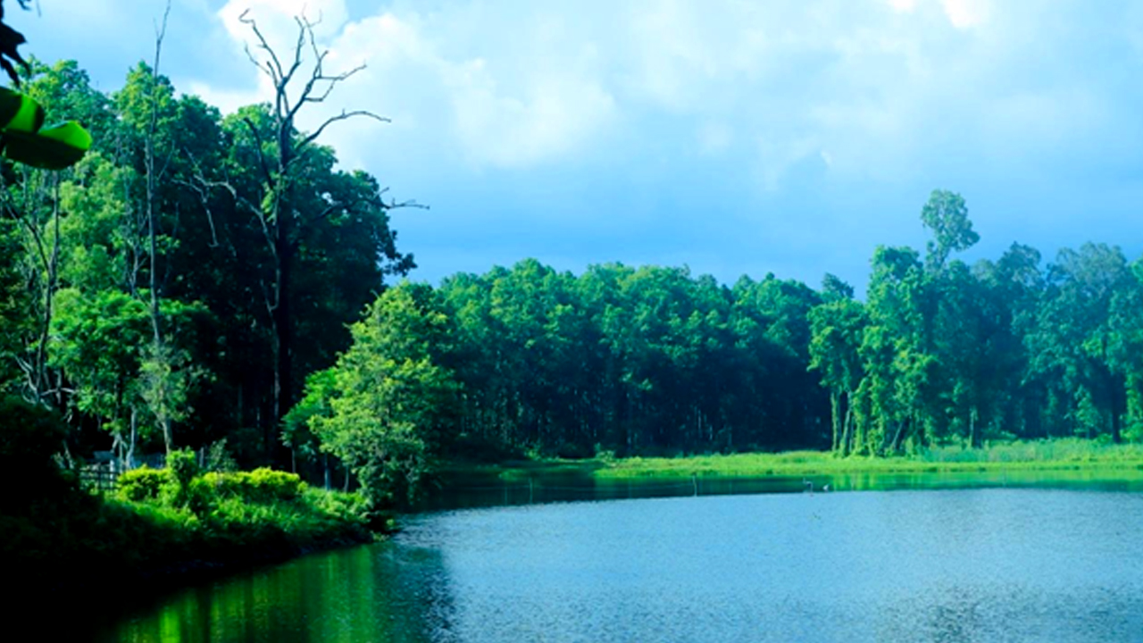 पर्यटकको रोजाइमा वेतना सिमसार