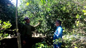 बहुवर्षीय खेती प्रणालीतर्फ आकर्षित हुँदै पौवादुङका किसान