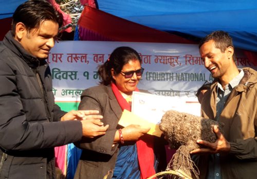 पोखरामा बृहत् कन्दमूल प्रदर्शनी