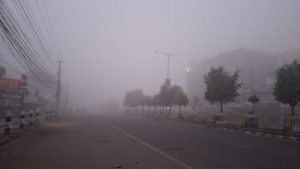 बाक्लो हुस्सु र कुहिरोले पश्चिम तराईको जनजीवन प्रभावित