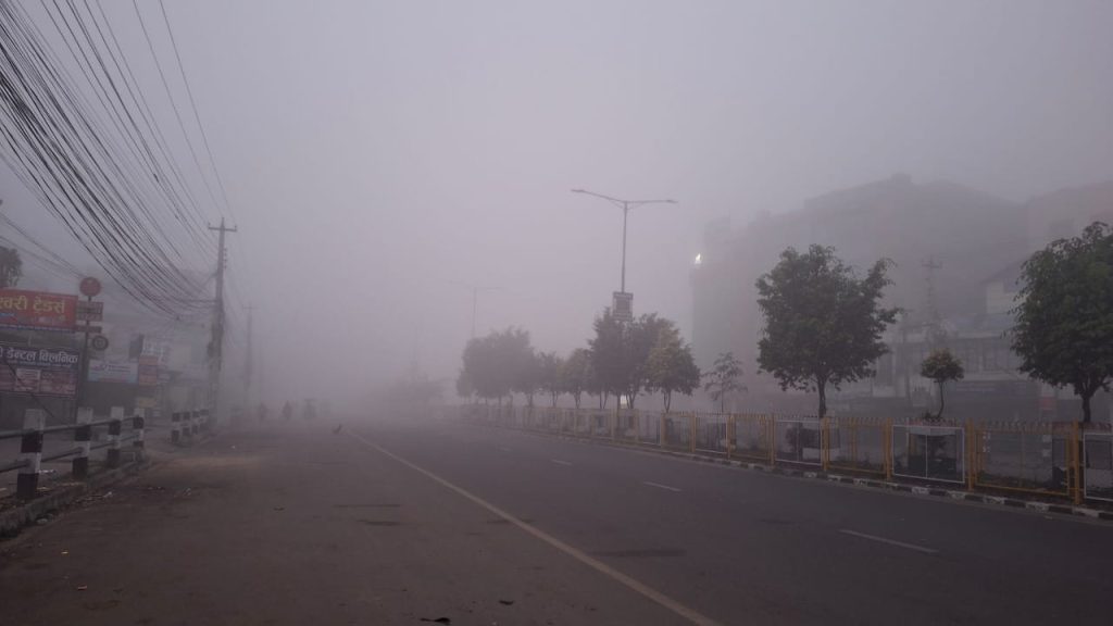 बाक्लो हुस्सु र कुहिरोले पश्चिम तराईको जनजीवन प्रभावित