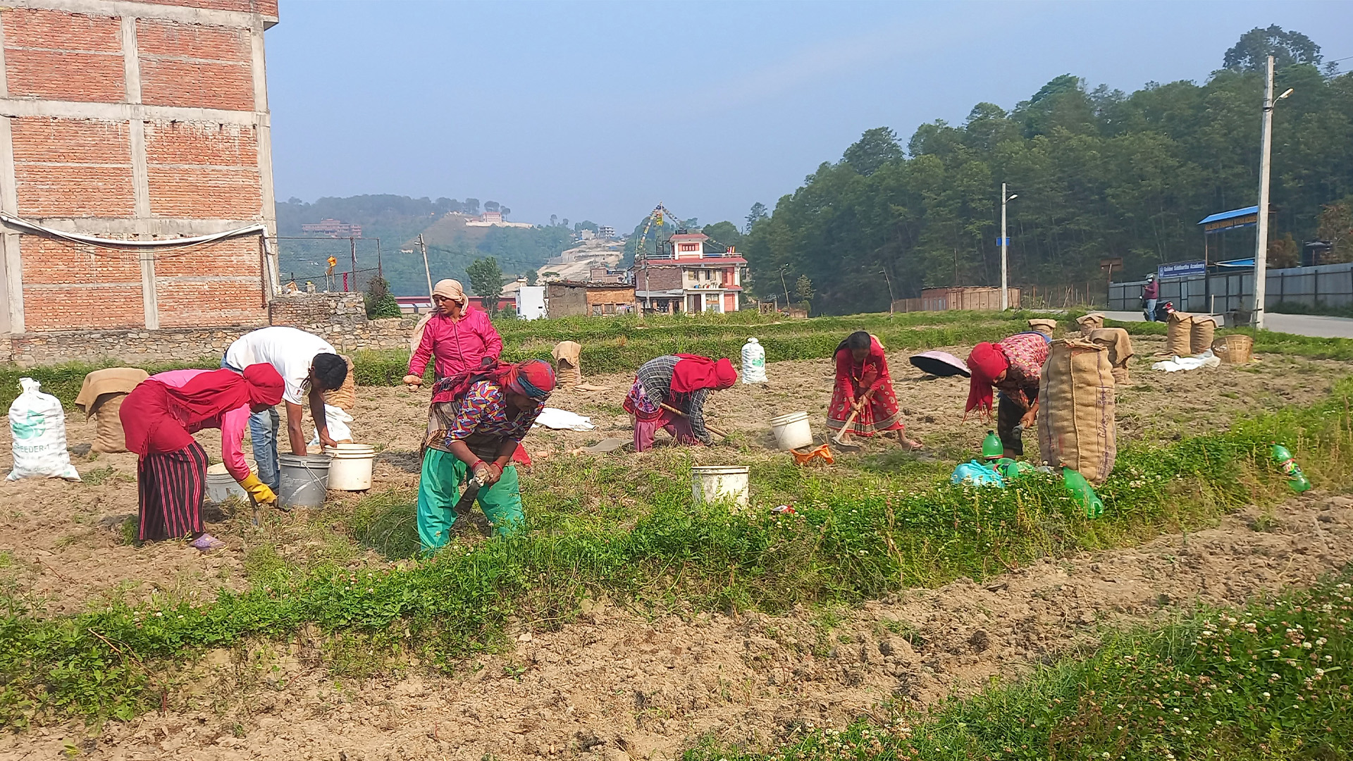 प्रतिकिलो रु १० मा पनि बिक्दैन आलु